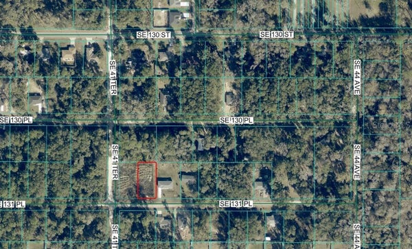 4203 SE 131ST PL, BELLEVIEW, FL 34420 - Image 2e96864f3a340f9f34a0fc873a32d787/4128389554