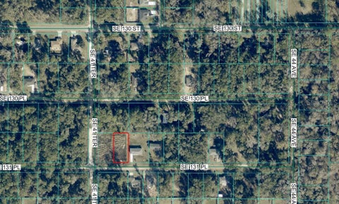 Photo of 4203 SE 131st Place, Belleview, FL 34420 (MLS # OM733199)
