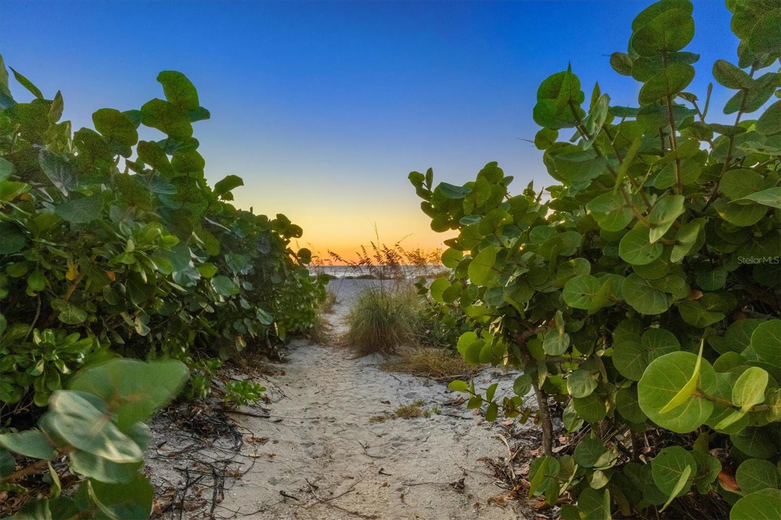 LIGHTHOUSE RESIDENCE 18 - Residential