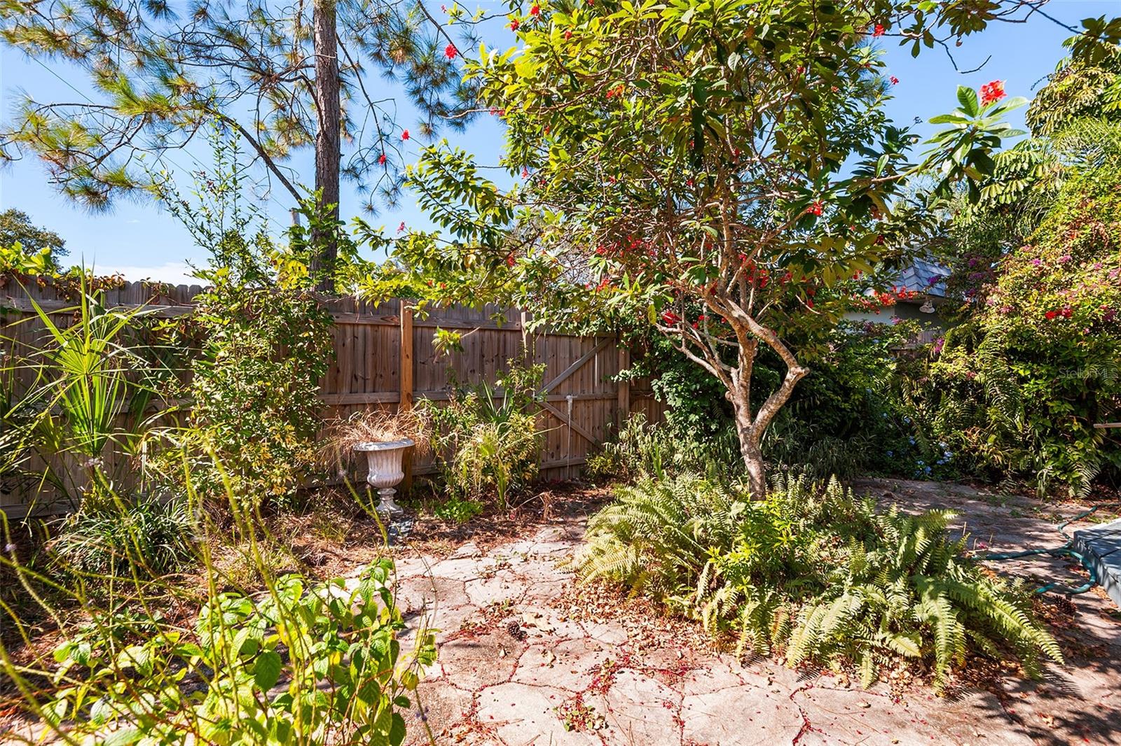 BEAR CREEK APARTMENTS - Residential Lease