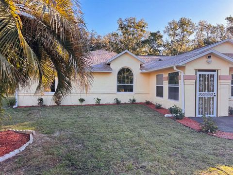 Photo of 12989 NW Highway 225, Reddick, FL 32686 (MLS # O6405006)