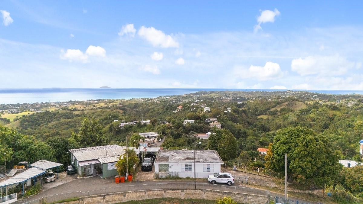 EL COQUI - Residential