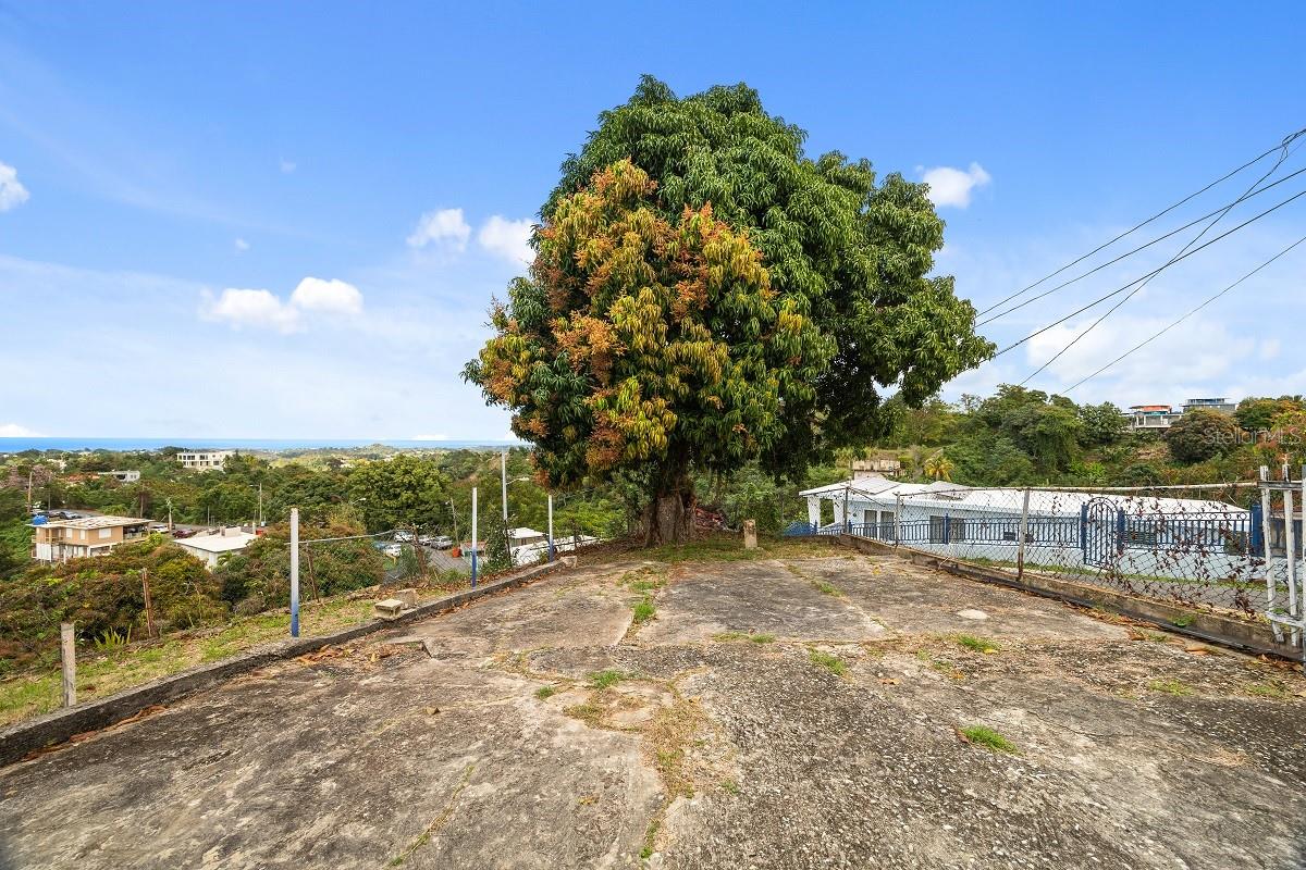 EL COQUI - Residential