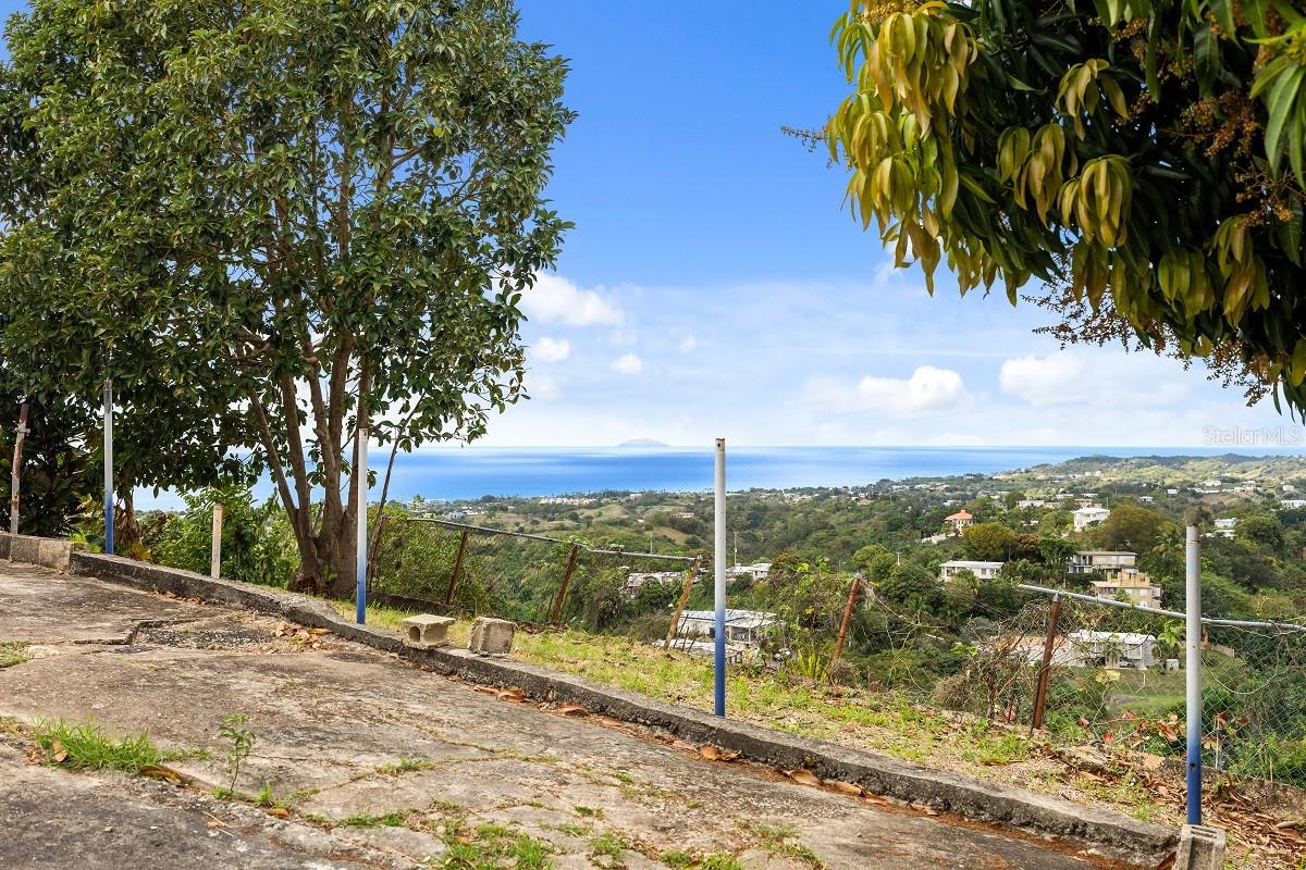 EL COQUI - Residential