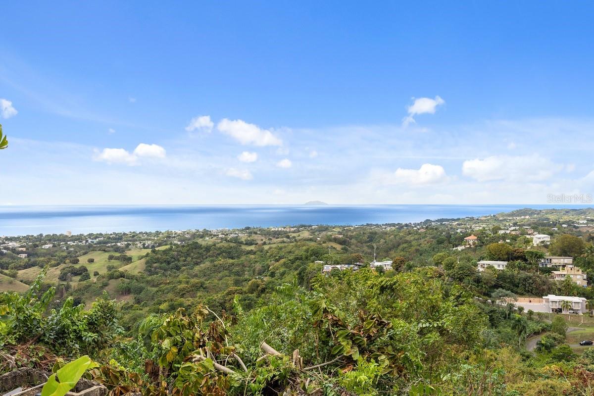 EL COQUI - Residential