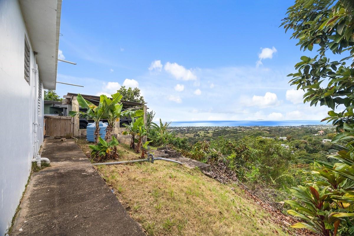 EL COQUI - Residential