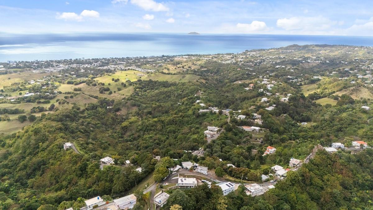 EL COQUI - Residential