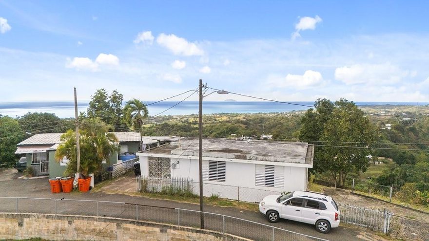 Welcome to a great opportunity to take on a project for a 2 BR/1BA fixer upper with good bones and high ceilings. It is ready for you to hit the floor running and work on this canvas to make it your own.  Snuggled up in the tranquil hills of Rincon in the Cruces Ward there is a vast ocean view from afar.  While enjoying the mountain breeze sit in the extended carport, relax and take in the glorious sunset and view of Desecheo Island. It can be viewed as well alongside the entire property. There is a vast amount of land - 0.7 acres - where you can build more casitas or farm it.  The house area is completely fenced in and the fence runs all the way down the road to where it ends.  In addition, there is a gate on the side to allow easy entrance to the accompanying land.  Furthermore, located along this road there is another access to the rear of the property enabling more parking space.  Don't miss out on this opportunity.  Call for an appointment and show proof of funds.  Cash is preferred.