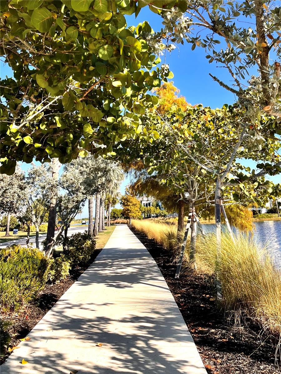 EDGEWATER WALK ON HARBOUR ISLE 5-36 - Residential