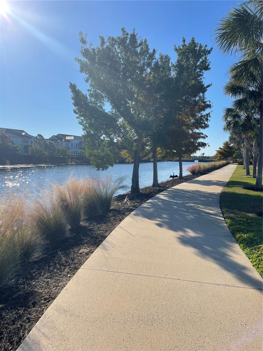 EDGEWATER WALK ON HARBOUR ISLE 5-36 - Residential