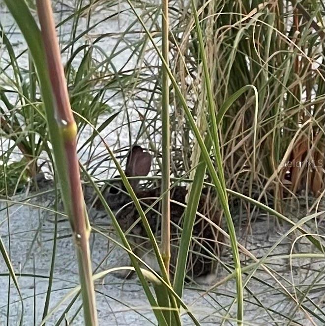 EDGEWATER WALK ON HARBOUR ISLE 5-36 - Residential