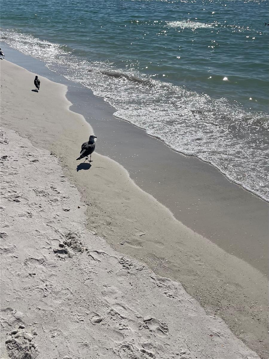 EDGEWATER WALK ON HARBOUR ISLE 5-36 - Residential