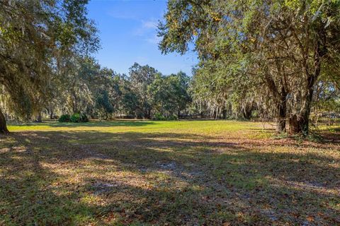 Tiny photo for 27910 Debbie Road, Okahumpka, FL 34762 (MLS # OM715893)