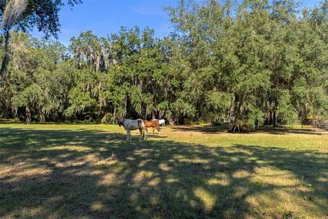 Tiny photo for 27910 Debbie Road, Okahumpka, FL 34762 (MLS # OM715893)