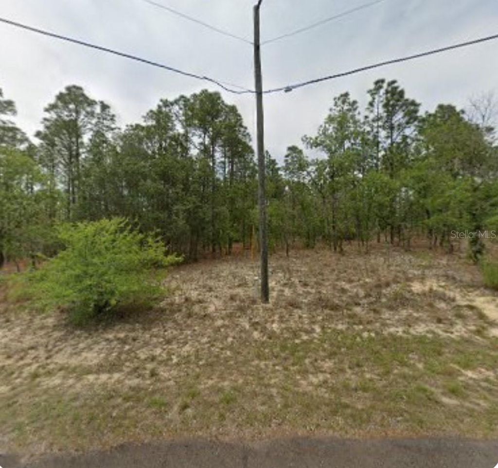 Photo of 2225 W Linden Drive, Citrus Springs, FL 34434 (MLS # TB8451250)