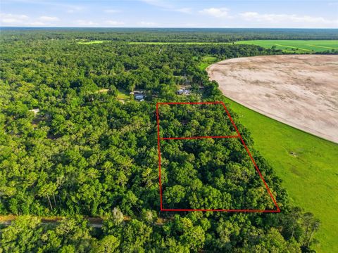 Tiny photo for 9291 NW 127th Place, Chiefland, FL 32626 (MLS # OM725308)