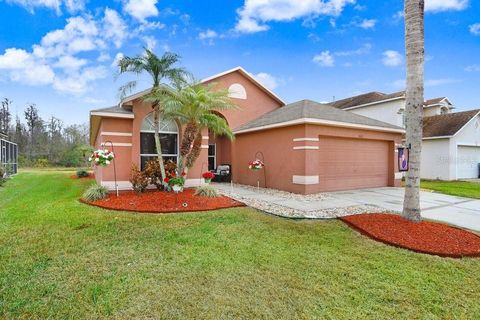 30617 TREMONT DRIVE WESLEY CHAPEL FL 33543