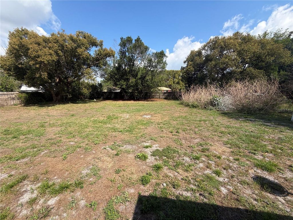 Photo of 917 Locust Avenue, Orlando, FL 32809 (MLS # O6391607)