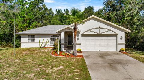 Photo of 1551 W Saint Elizabeth Place, Citrus Springs, FL 34434 (MLS # OM711452)