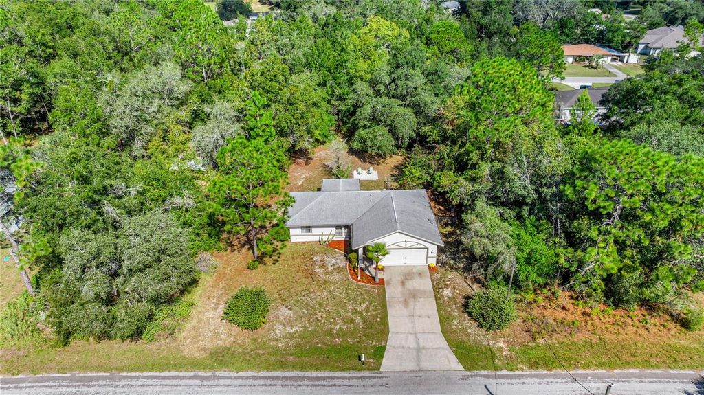 Photo of 1551 W Saint Elizabeth Place, Citrus Springs, FL 34434 (MLS # OM711452)