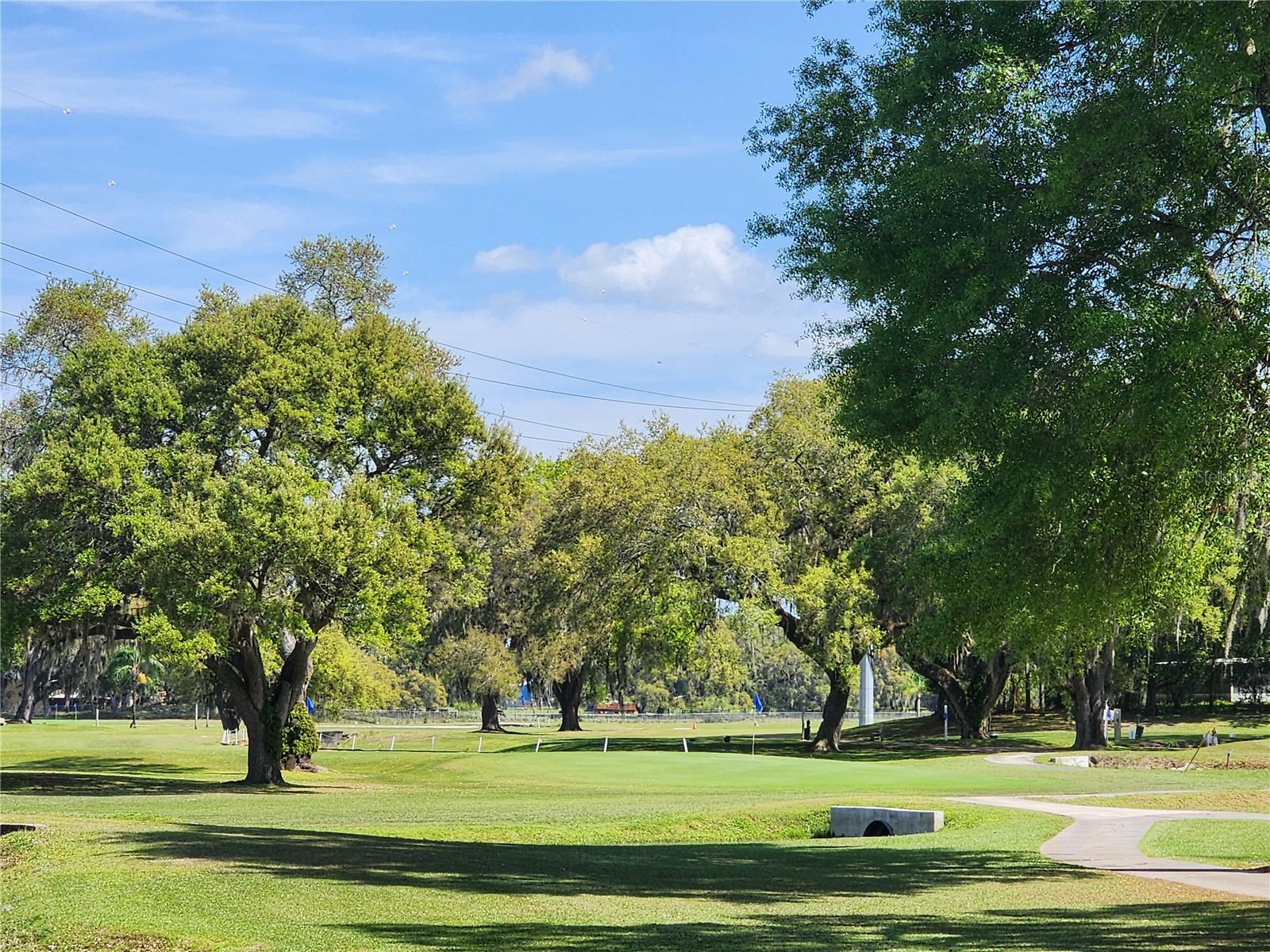 LAKE BETMAR ESTS UNITS 3-4-5 - Residential