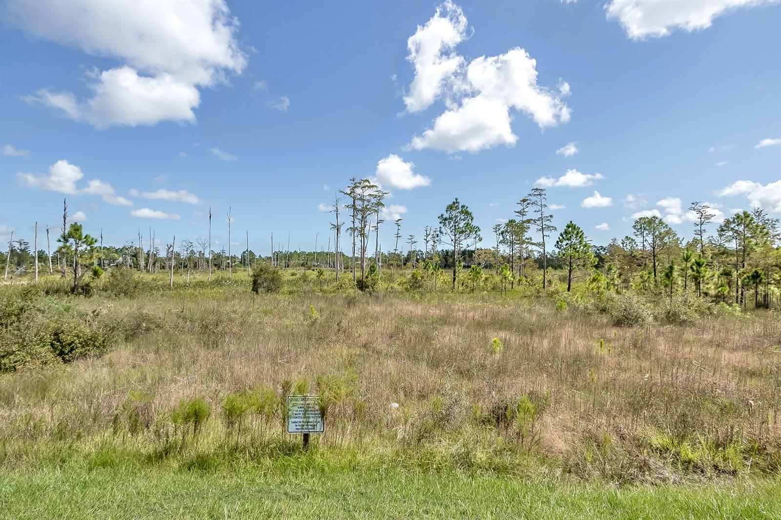 Mosaic Ph 1A - Residential