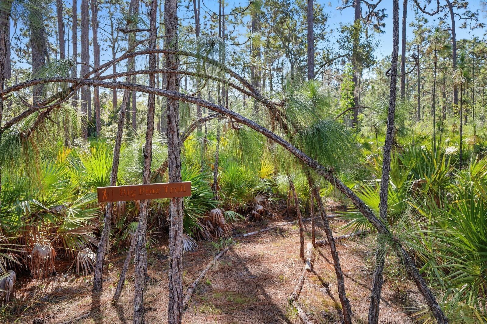 POMELLO CITY CENTRAL UNIT - Land