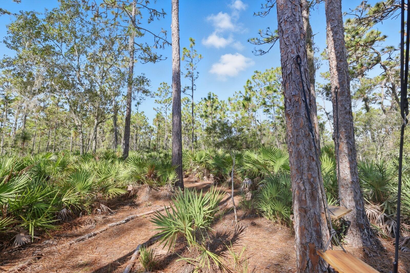 POMELLO CITY CENTRAL UNIT - Land