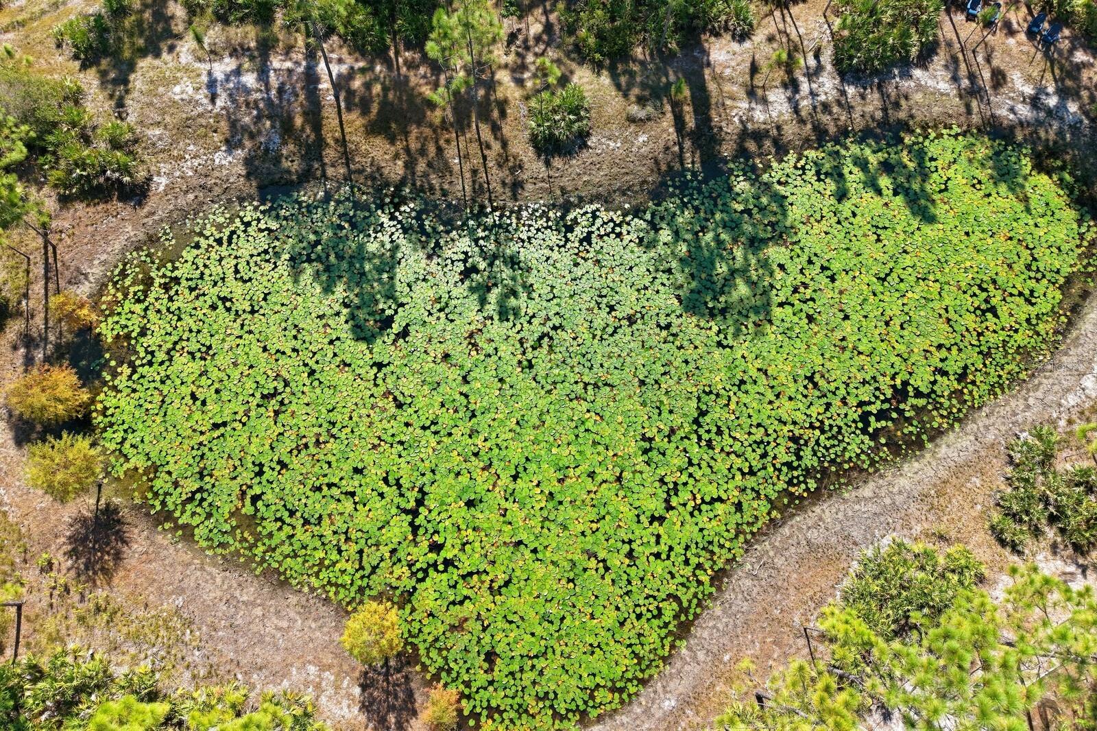 POMELLO CITY CENTRAL UNIT - Land