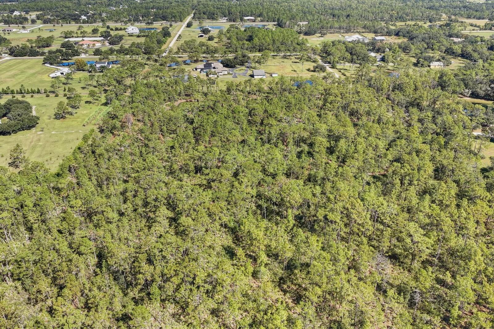 POMELLO CITY CENTRAL UNIT - Land