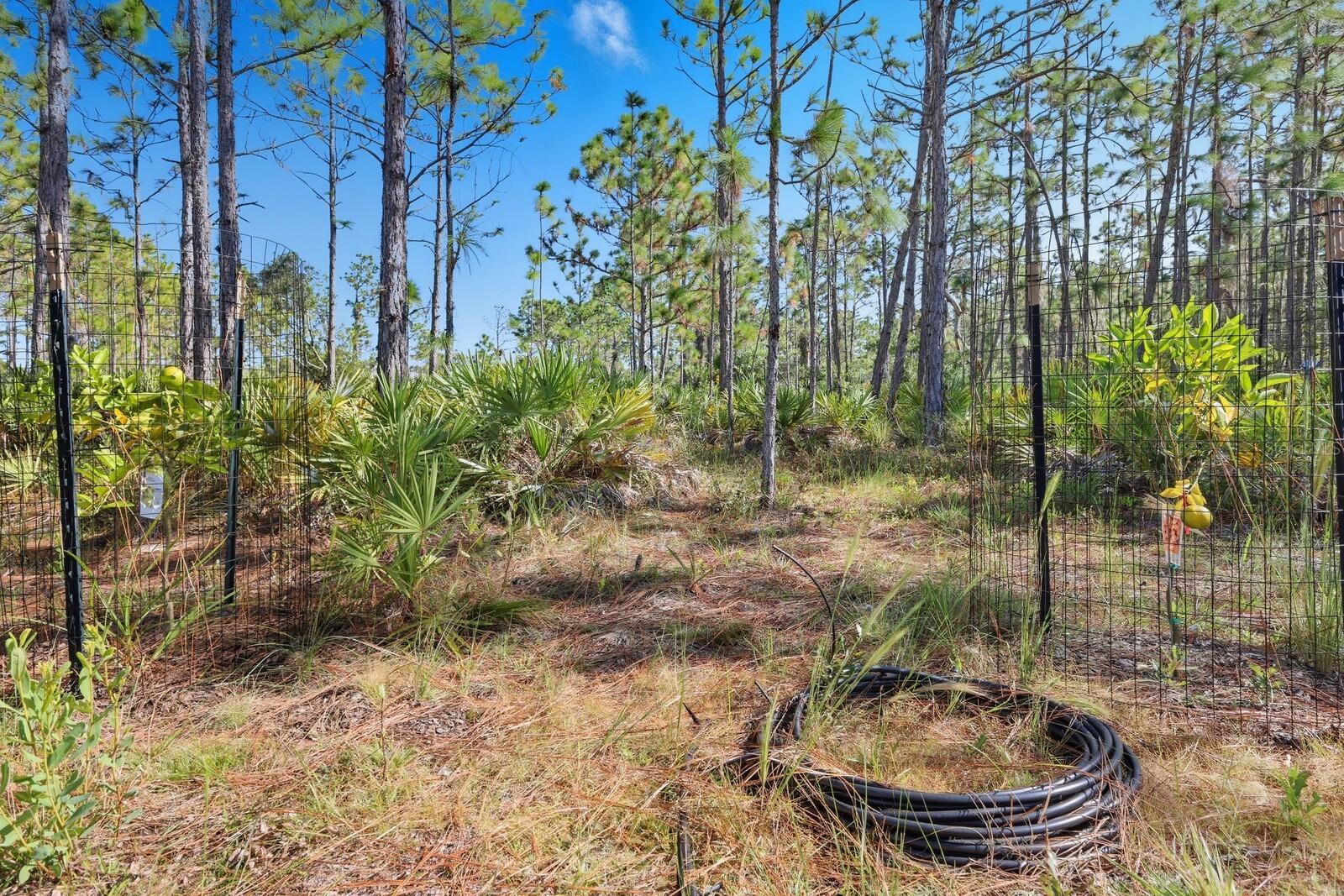 POMELLO CITY CENTRAL UNIT - Land