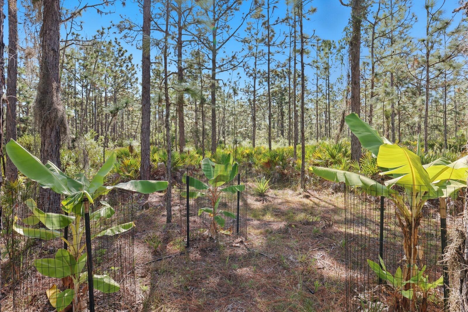 POMELLO CITY CENTRAL UNIT - Land