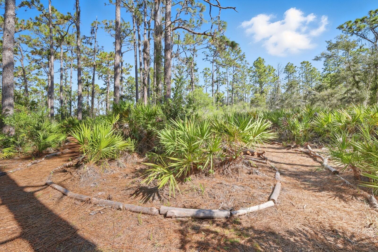POMELLO CITY CENTRAL UNIT - Land