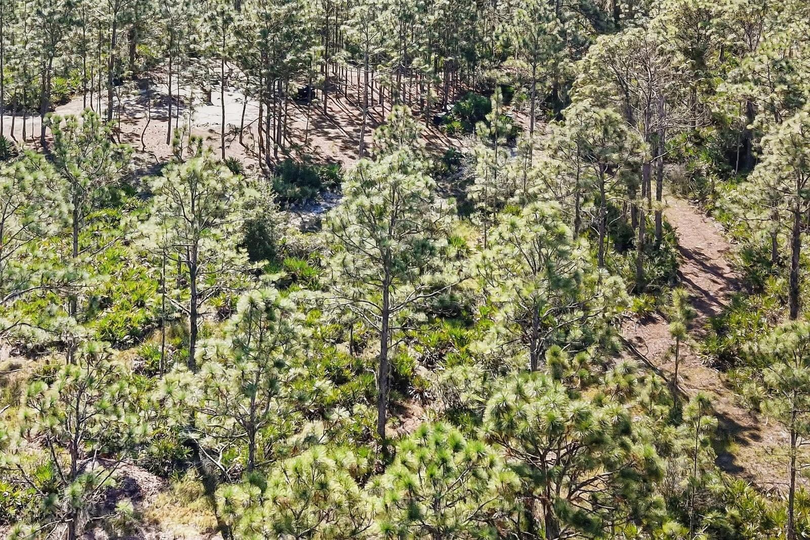 POMELLO CITY CENTRAL UNIT - Land