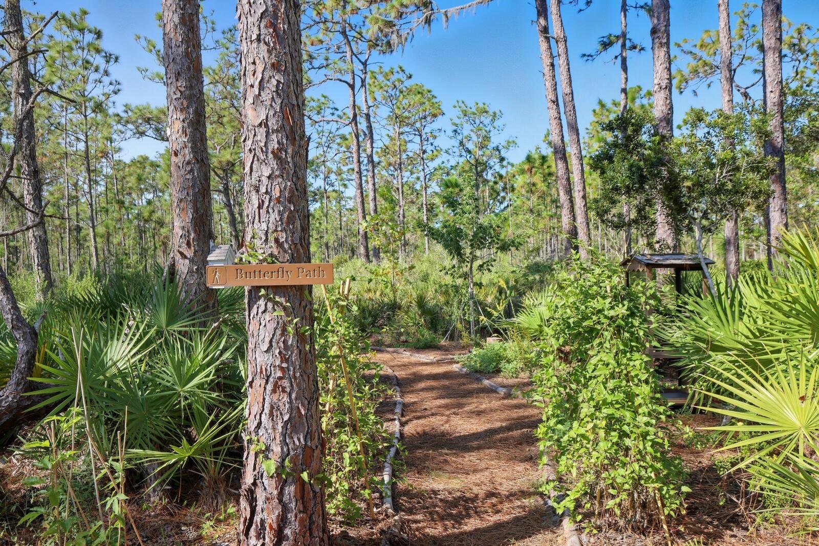 POMELLO CITY CENTRAL UNIT - Land