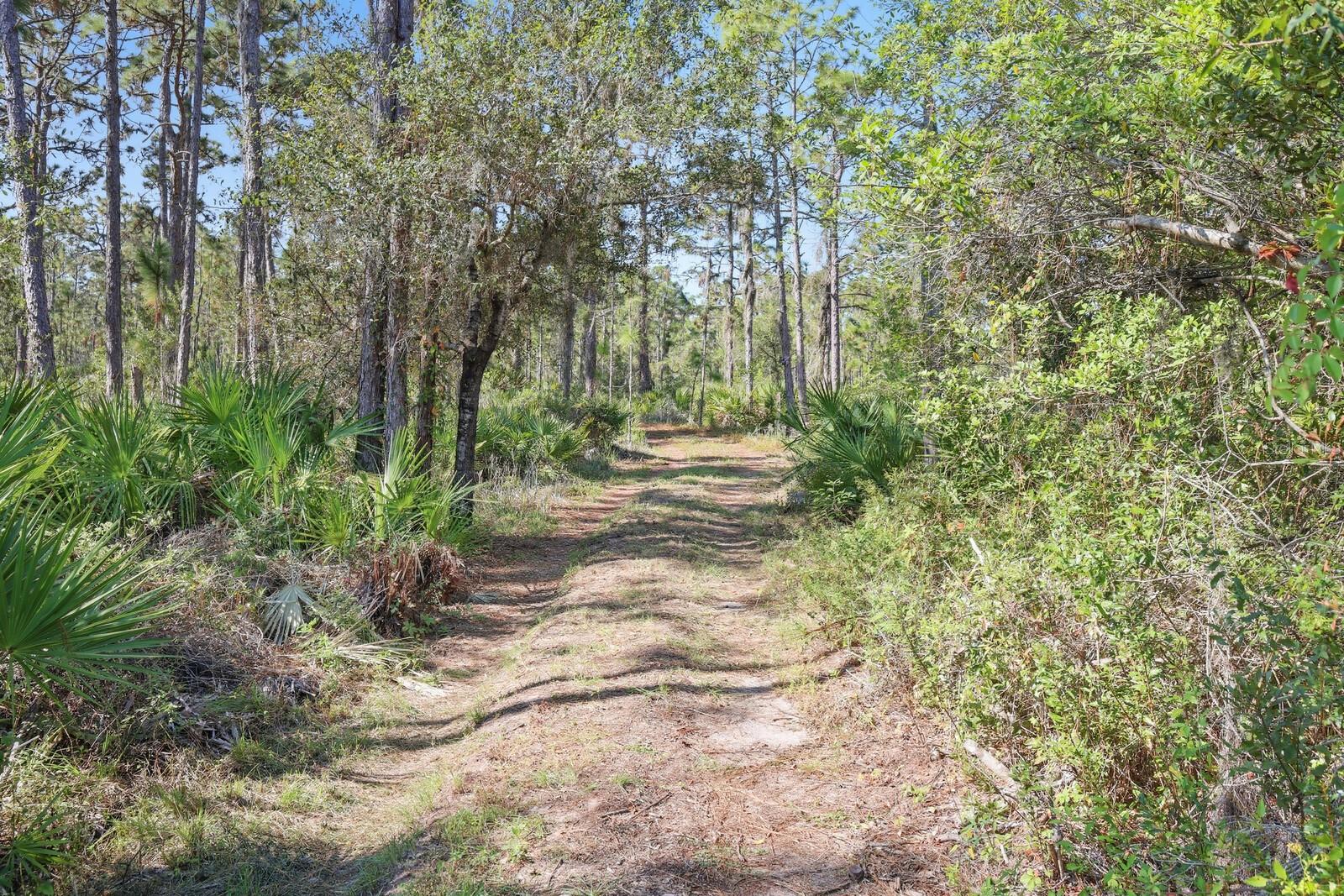 POMELLO CITY CENTRAL UNIT - Land