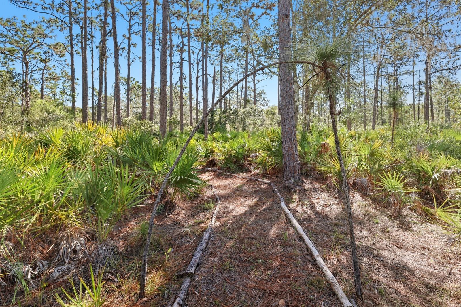 POMELLO CITY CENTRAL UNIT - Land