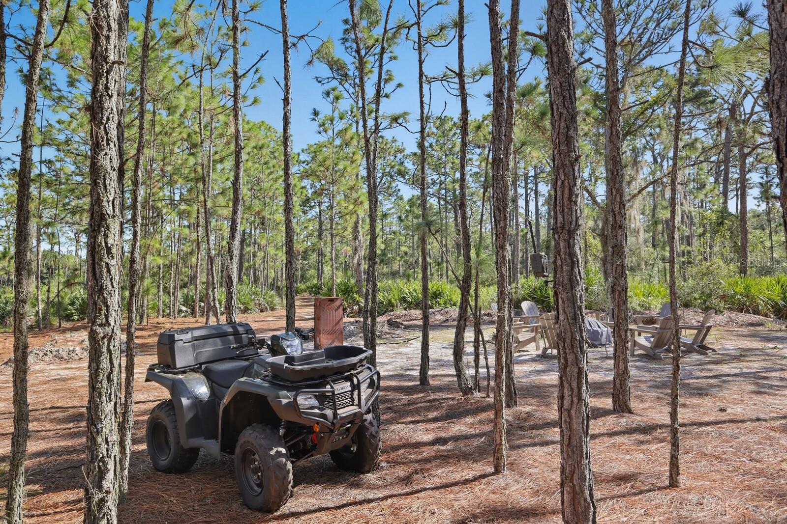 POMELLO CITY CENTRAL UNIT - Land