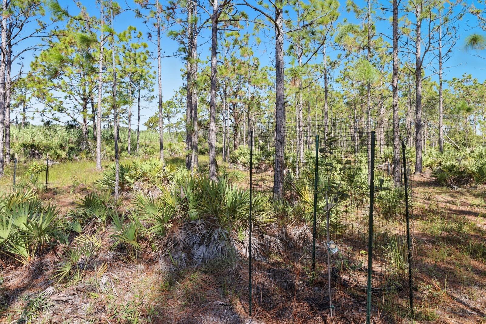 POMELLO CITY CENTRAL UNIT - Land