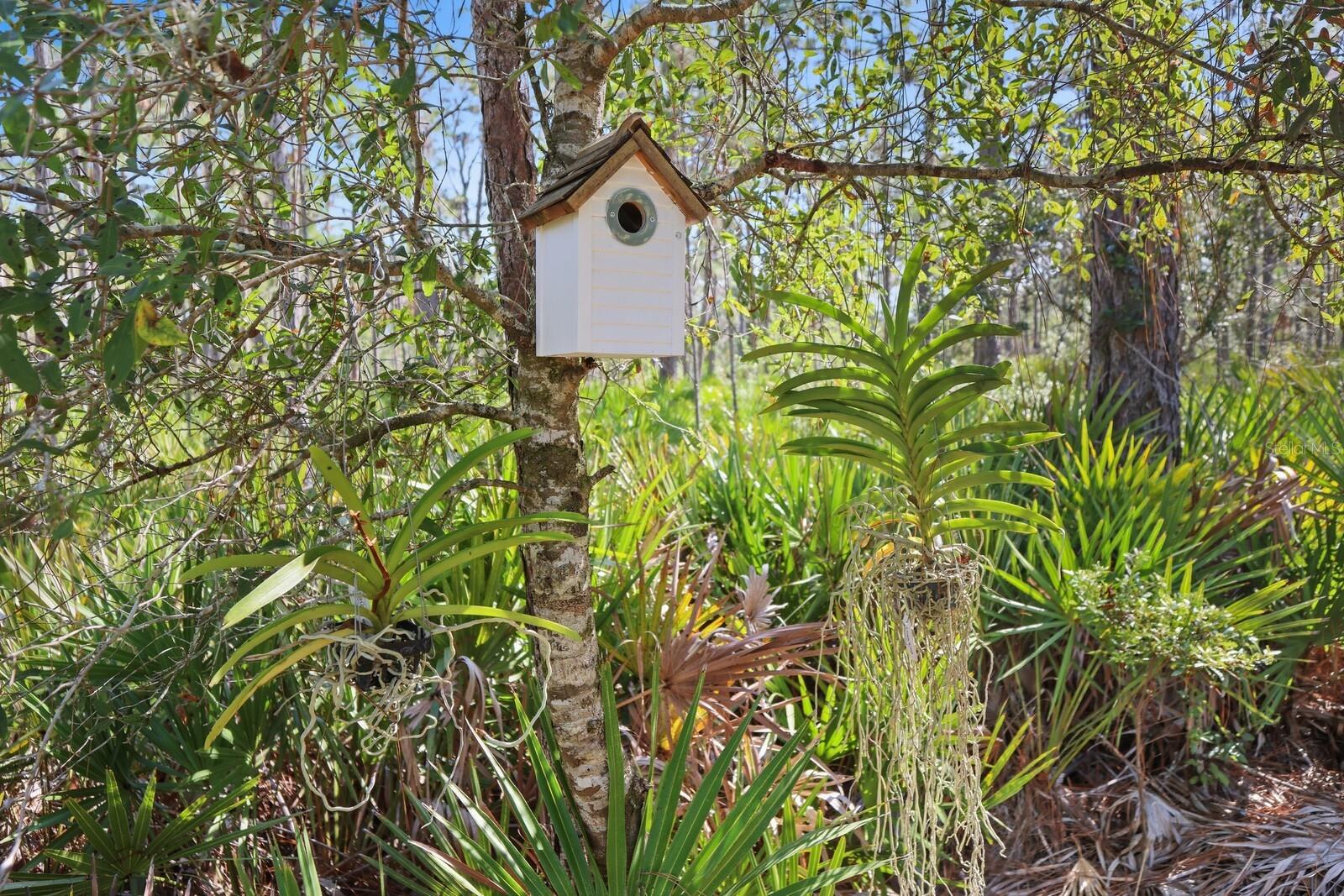 POMELLO CITY CENTRAL UNIT - Land