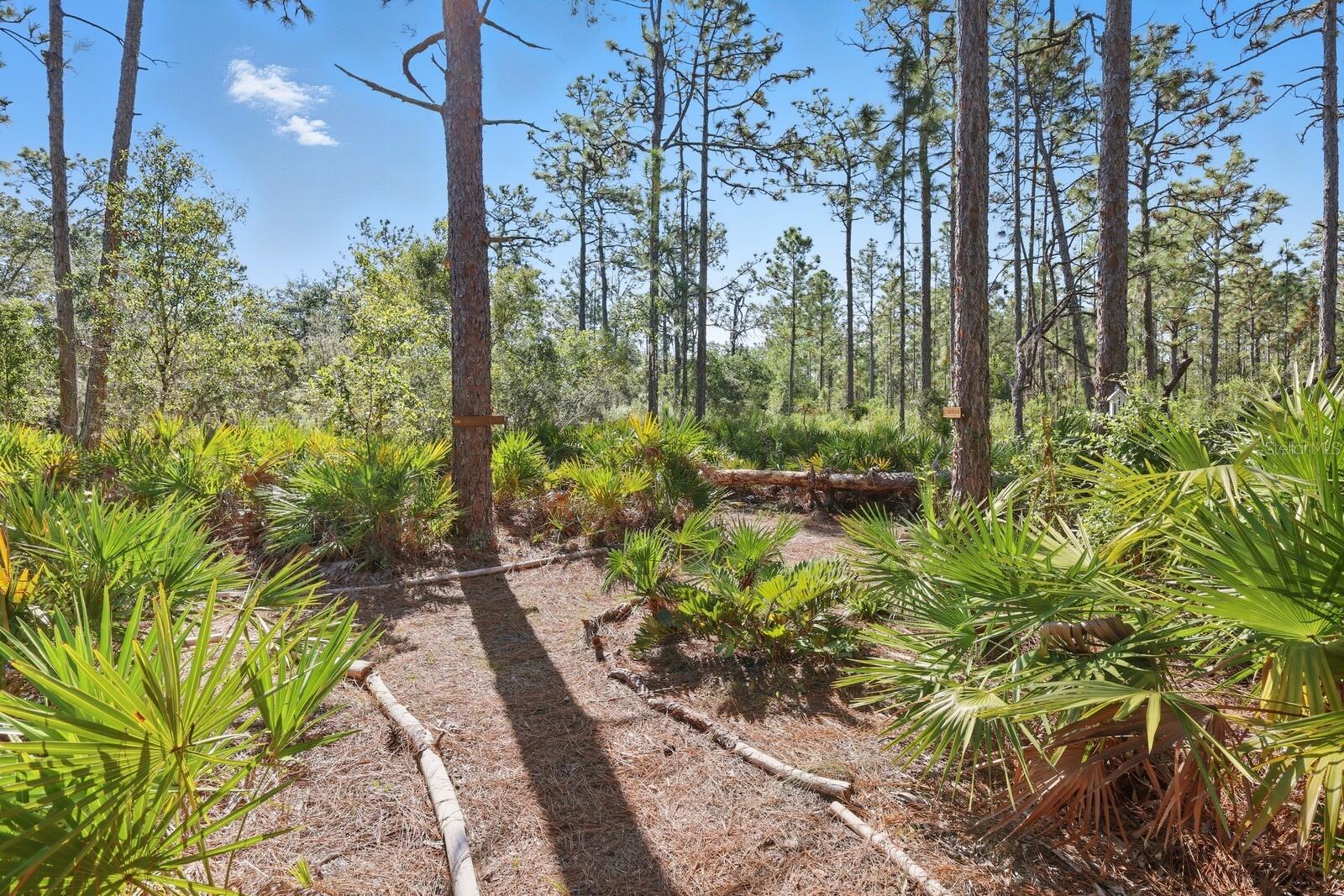 POMELLO CITY CENTRAL UNIT - Land