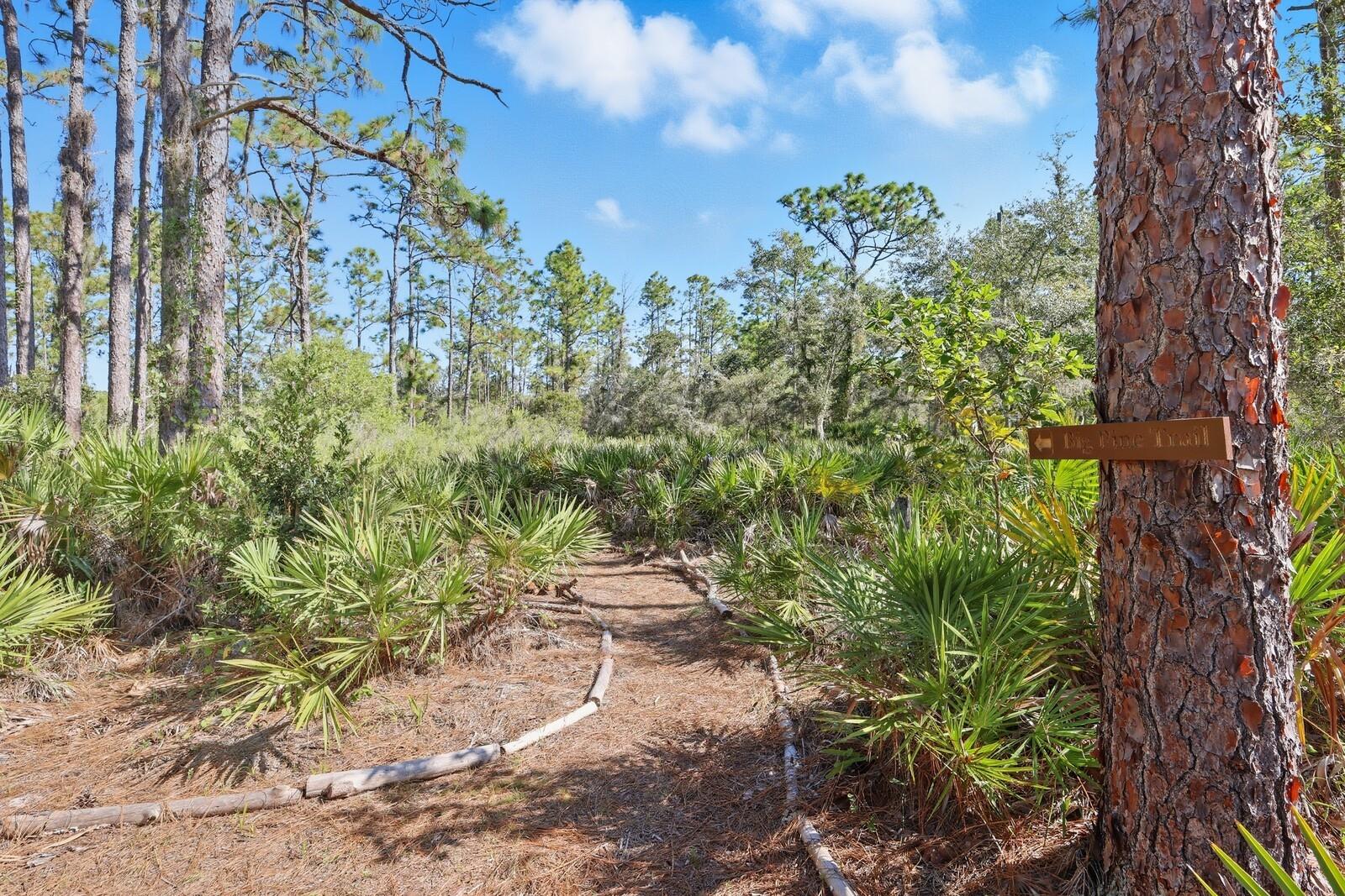 POMELLO CITY CENTRAL UNIT - Land