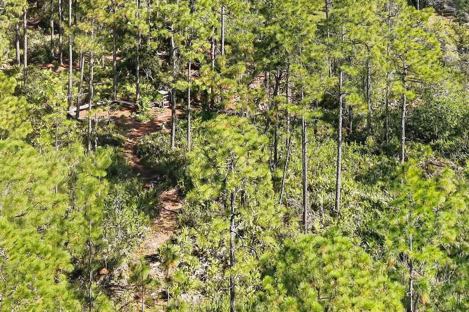 POMELLO CITY CENTRAL UNIT - Land