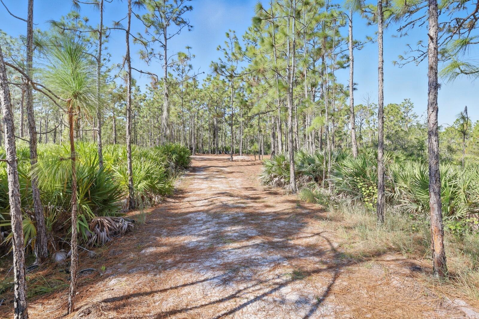 POMELLO CITY CENTRAL UNIT - Land