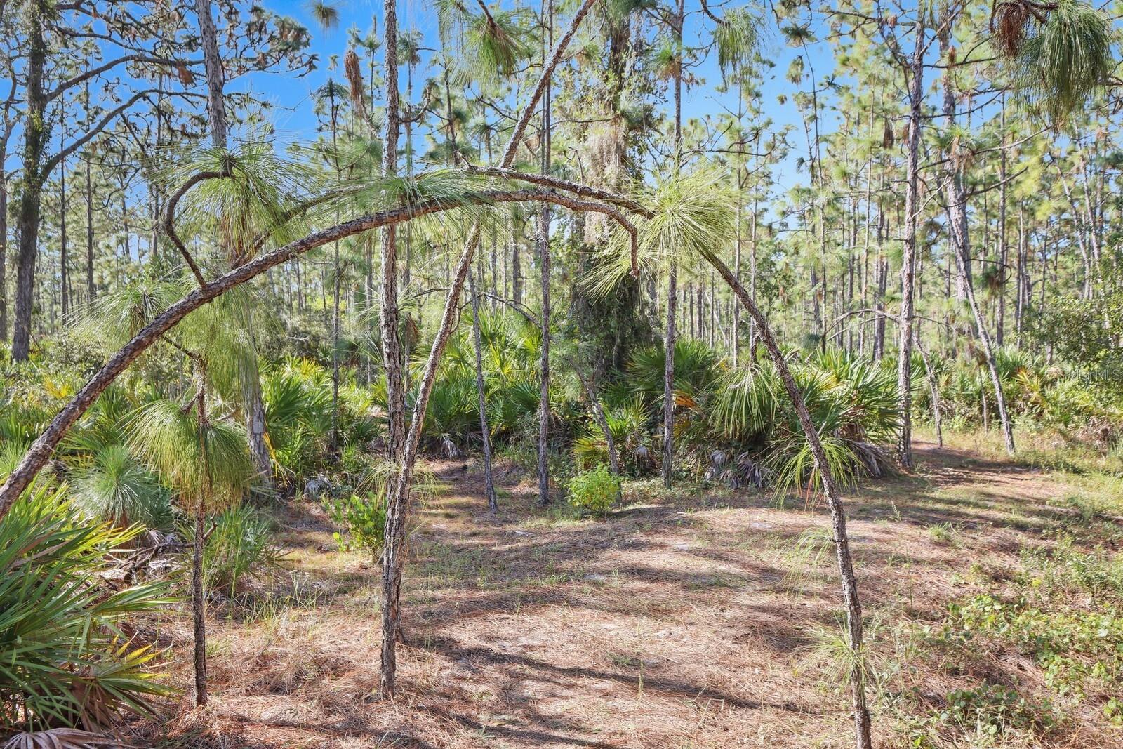 POMELLO CITY CENTRAL UNIT - Land