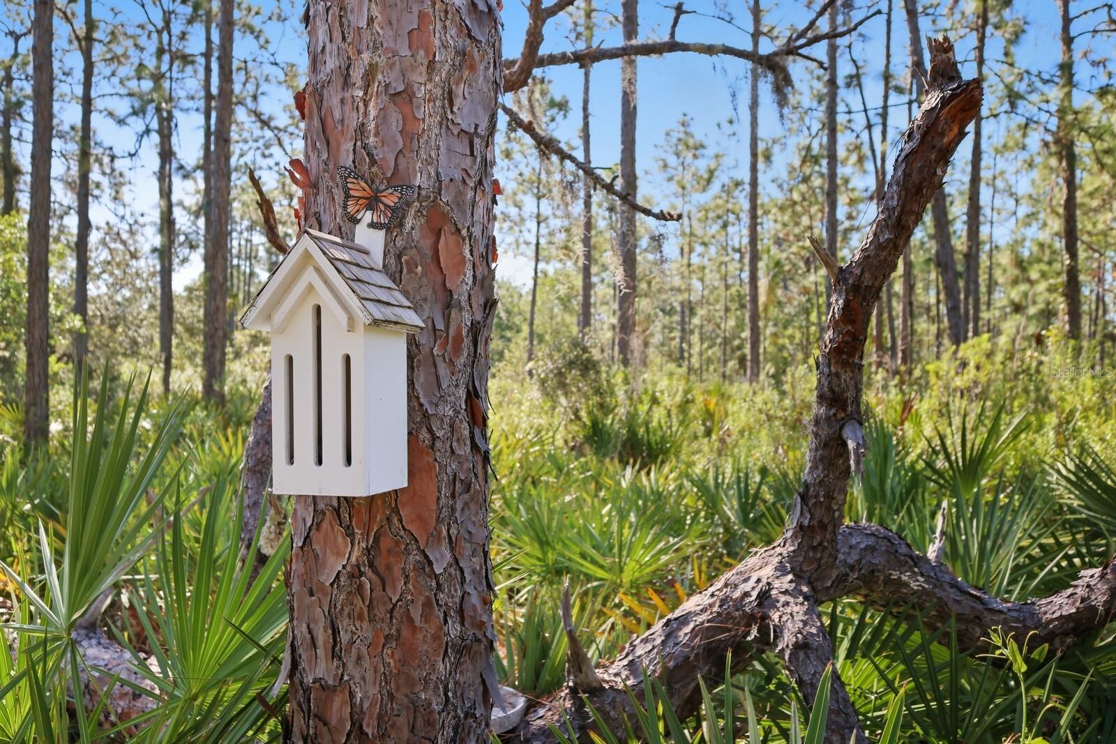 POMELLO CITY CENTRAL UNIT - Land