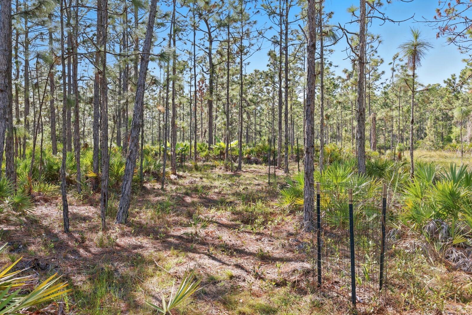 POMELLO CITY CENTRAL UNIT - Land