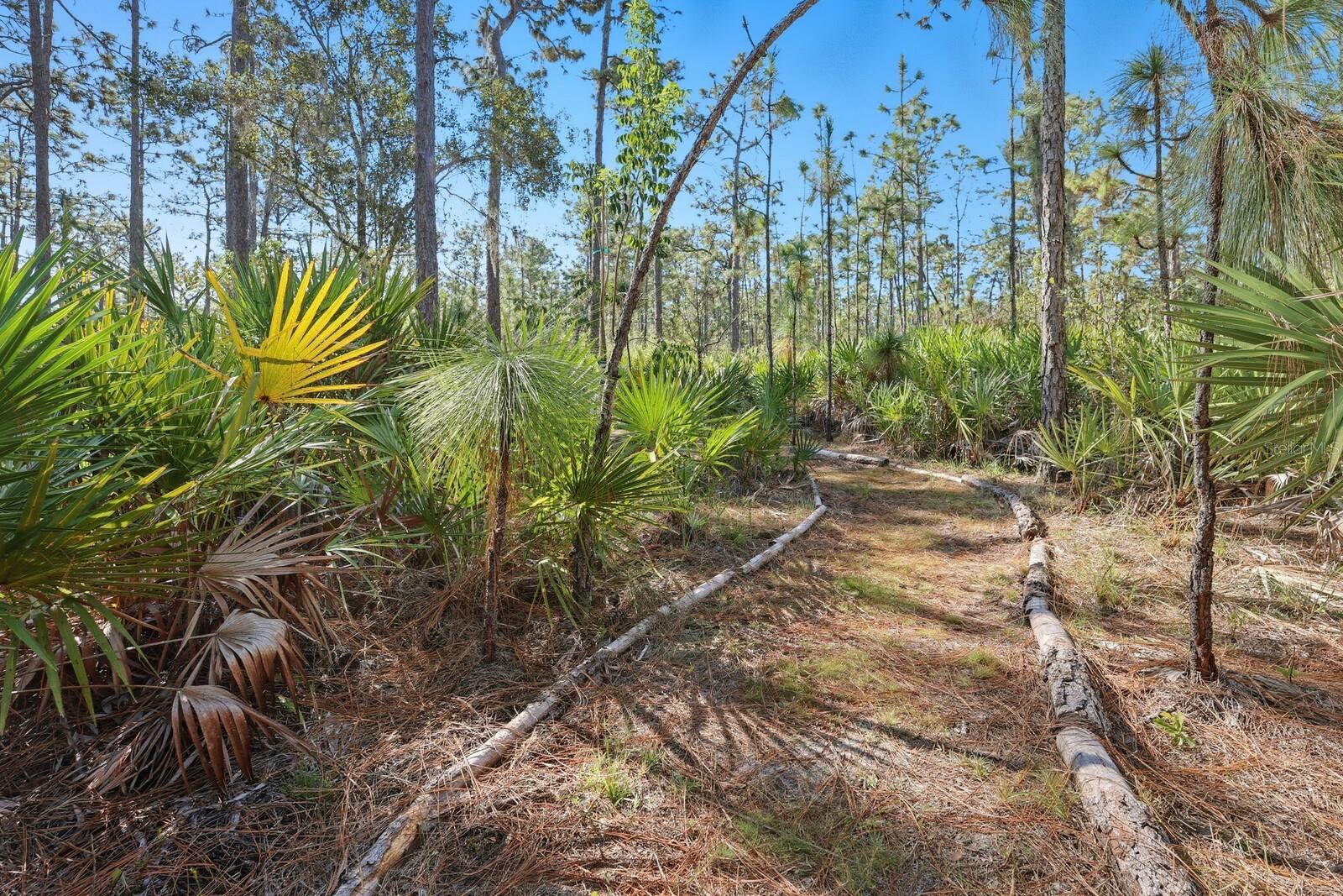 POMELLO CITY CENTRAL UNIT - Land