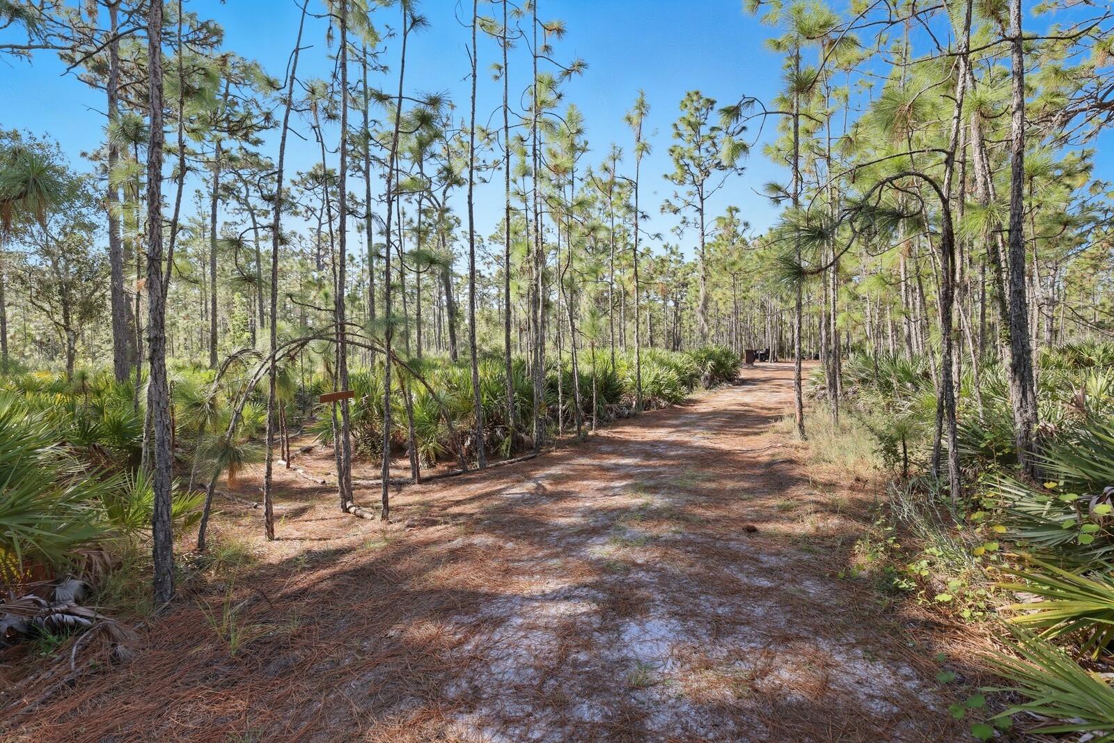 POMELLO CITY CENTRAL UNIT - Land