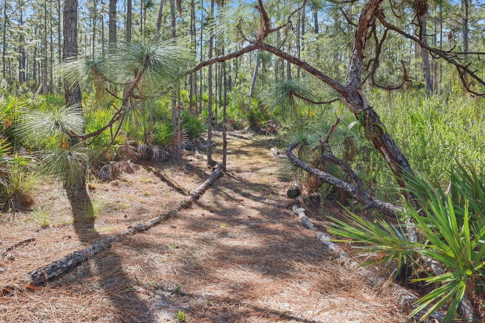 POMELLO CITY CENTRAL UNIT - Land